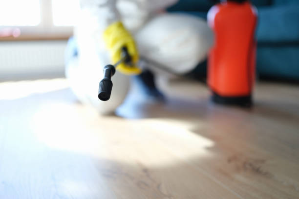 Best Mold Odor Removal Services  in King City, CA