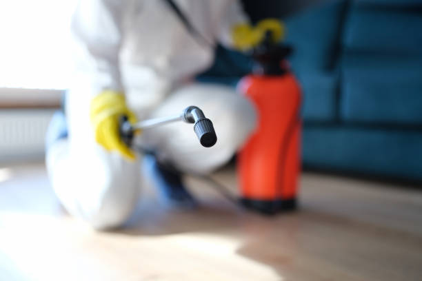Best Emergency Mold Remediation  in King City, CA